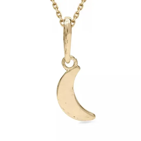 Mond Halskette aus vergoldetem Sterlingsilber und Anhänger aus 9 Karat Gold